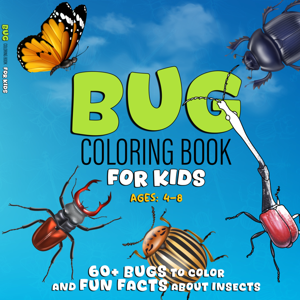 bug coloring book for kids