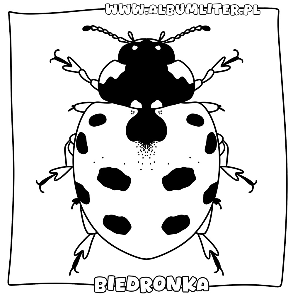 kolorowanka-do-druku-biedronka